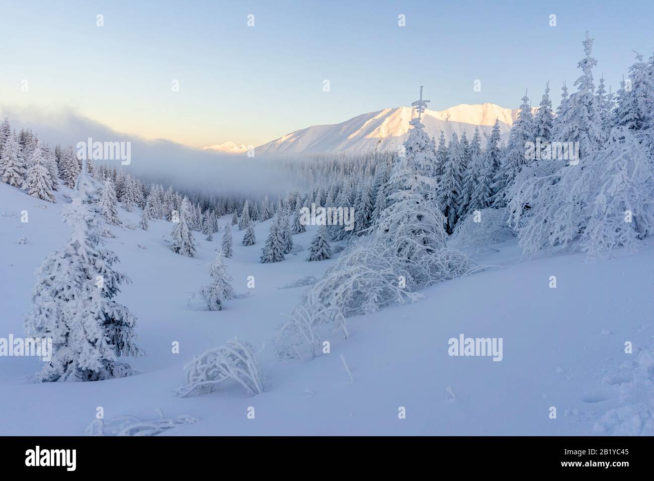 Pics enneigés des Hautes Tatras au soleil de l'après-midi. Banque D'Images