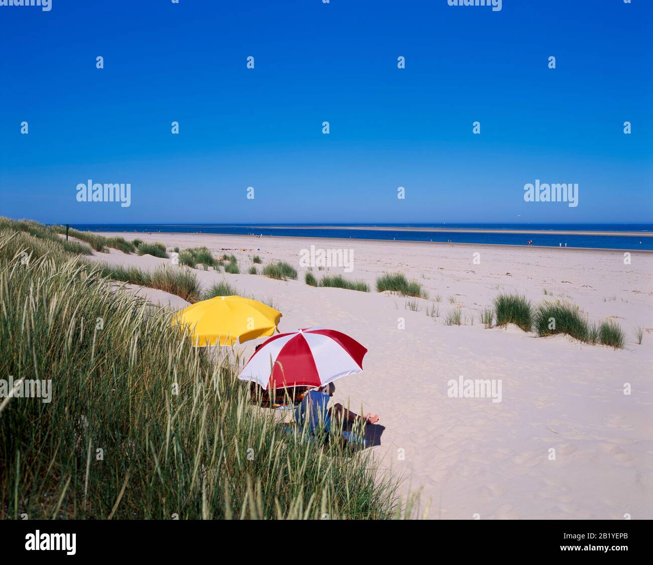 Plage et dunes, île de Terschelling, Mer du Nord, Frise, Pays-Bas, Europe Banque D'Images