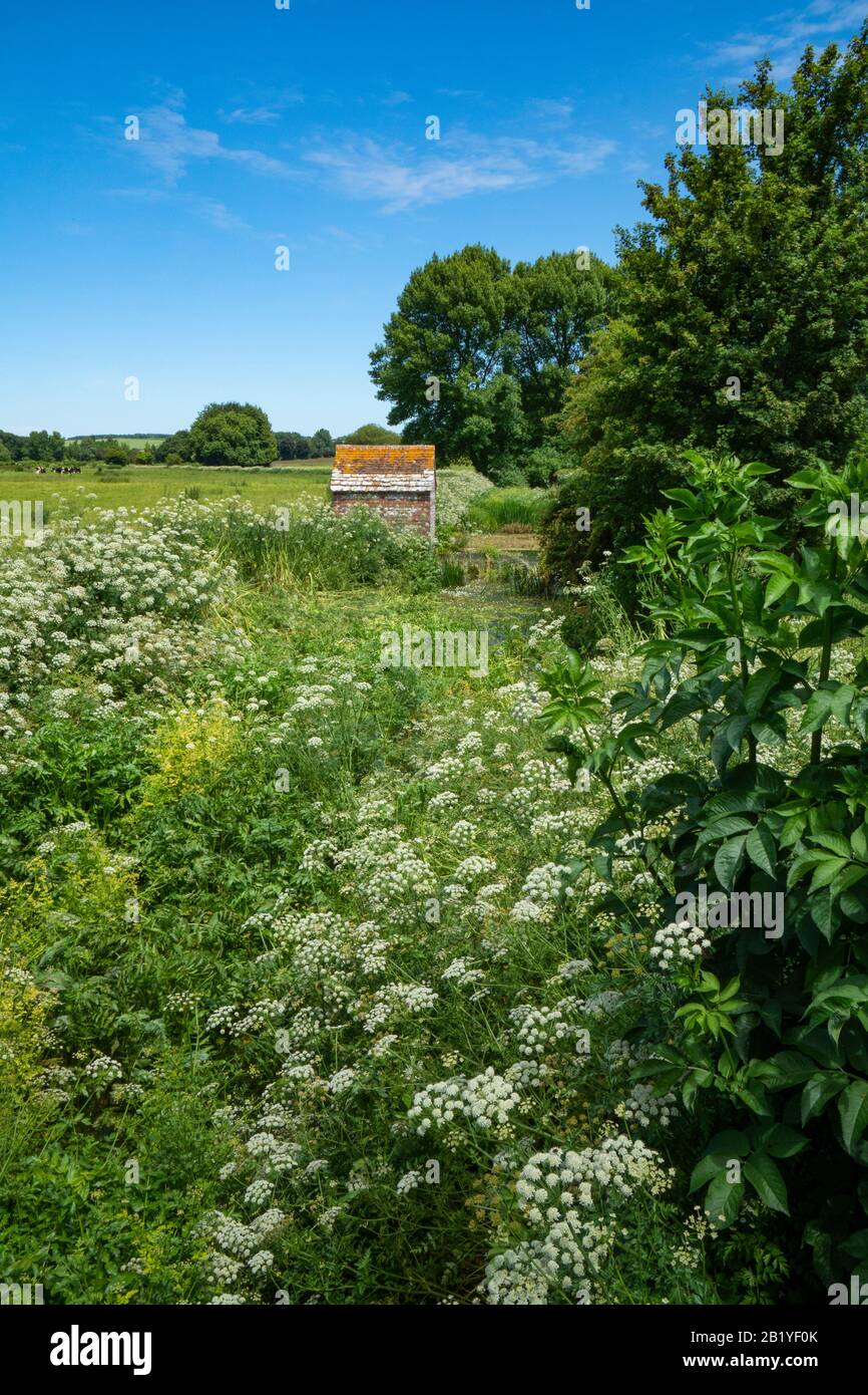 Vieille maison de pompe et de bint de pierre et de wir dans la Tarrant de rivière à l'herbe-choked à Tarrant Rawston près de Blandford à Dorset Banque D'Images