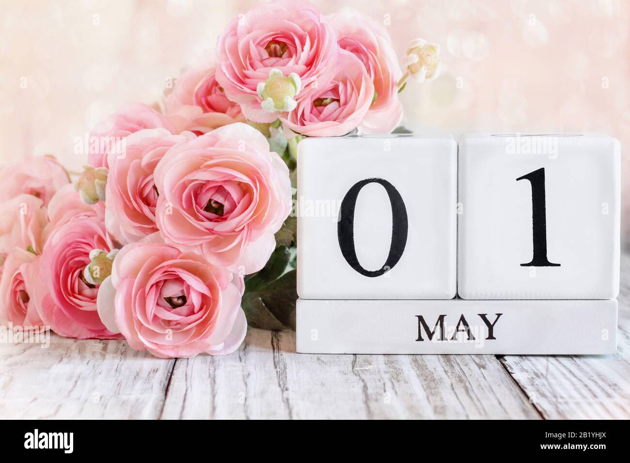 Blocs calendrier en bois blanc avec la date du 1 mai et fleurs roses de ranunculus sur une table en bois. Mise au point sélective avec arrière-plan flou. Banque D'Images