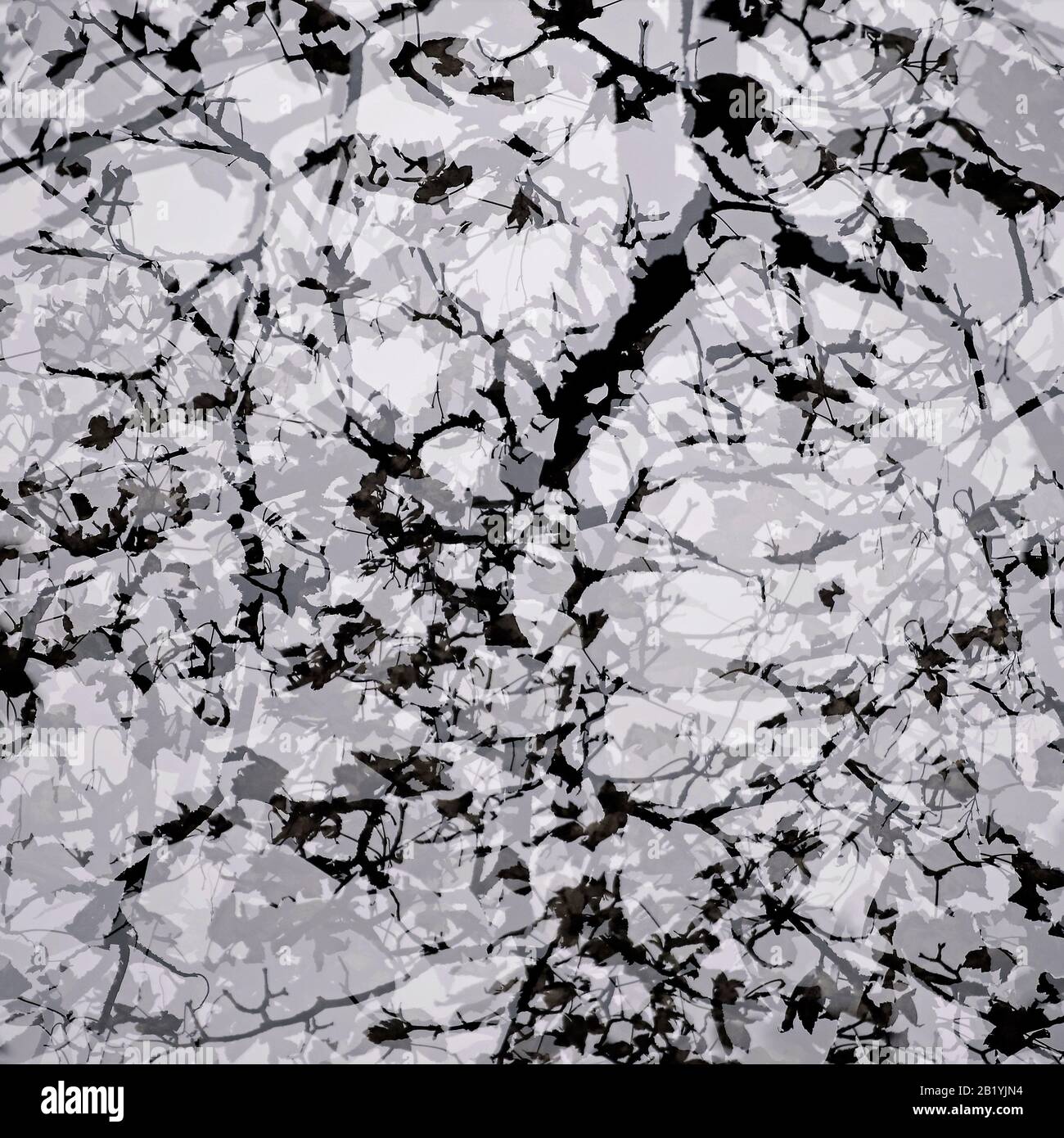 Photographie artistique abstraite et impressionniste dans des tons et teintes de nuances des forêts et des bois de Cannock Chase montrant des éléments de design co Banque D'Images