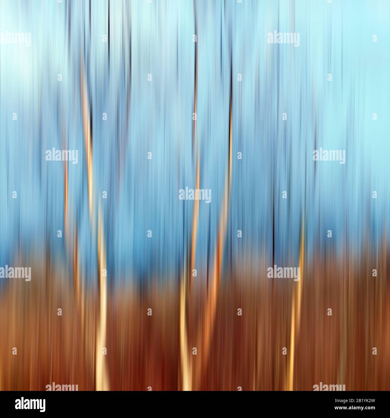Photographie artistique abstraite et impressionniste dans des tons et teintes de nuances des forêts et des bois de Cannock Chase montrant des éléments de design co Banque D'Images
