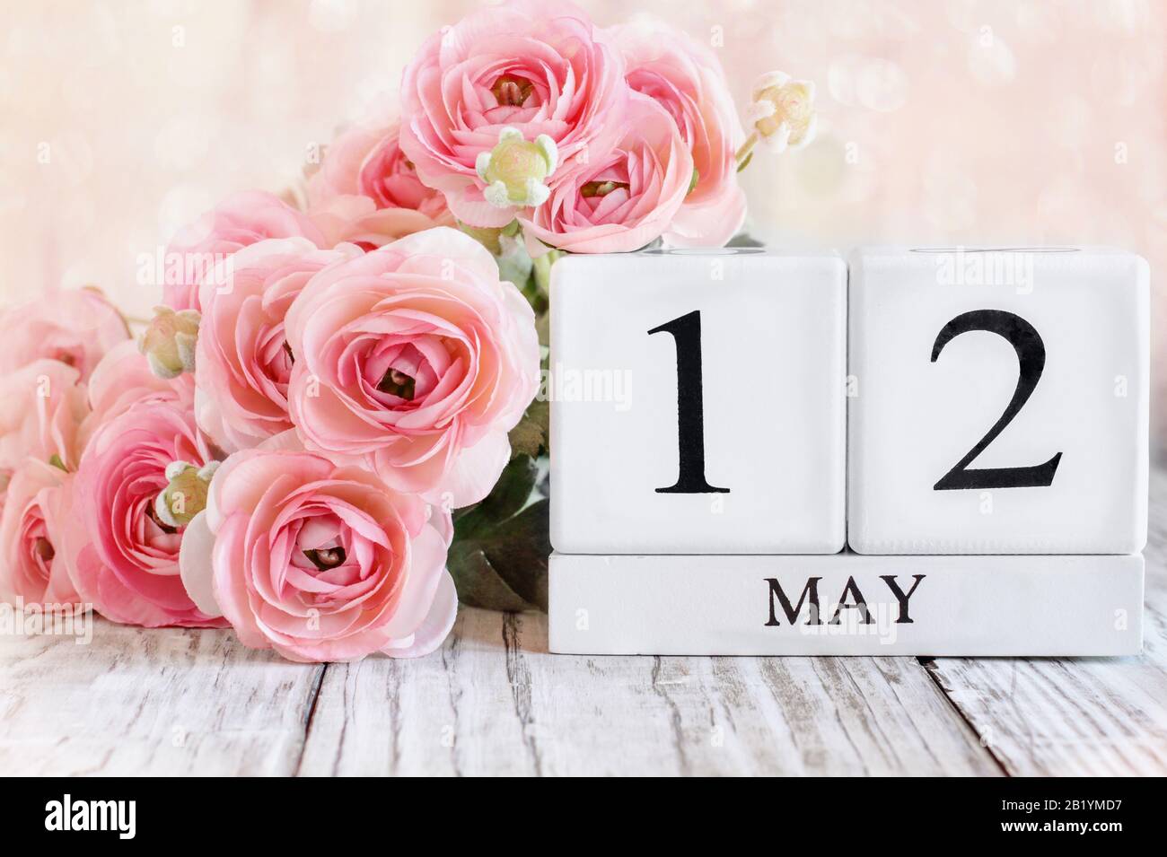 Blocs calendrier en bois blanc avec la date du 12 mai et fleurs roses de ranunculus sur une table en bois pour la Journée internationale des infirmières.. Mise au point sélective avec Banque D'Images