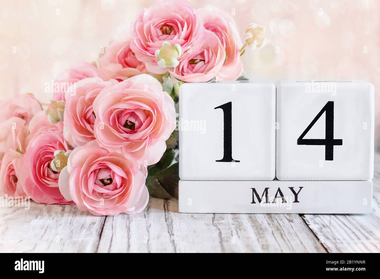 Blocs calendrier en bois blanc avec la date du 14 mai et fleurs roses de ranunculus sur une table en bois. Mise au point sélective avec arrière-plan flou. Banque D'Images