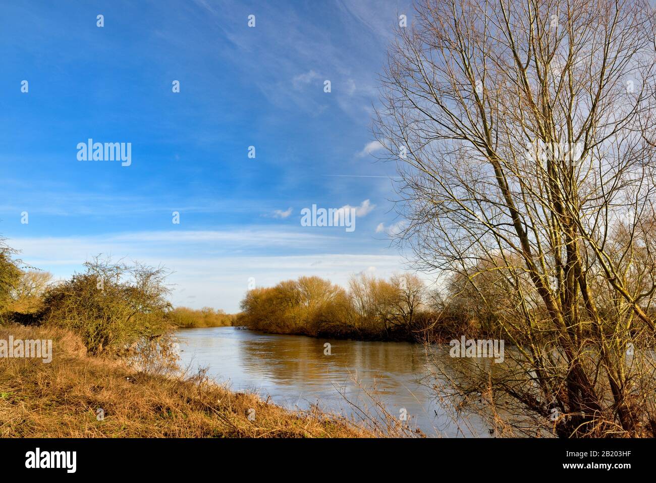The River Trent, Nottingham, Angleterre, Royaume-Uni Banque D'Images The River Trent, Nottingham, Angleterre, Royaume-Uni Banque D'Images