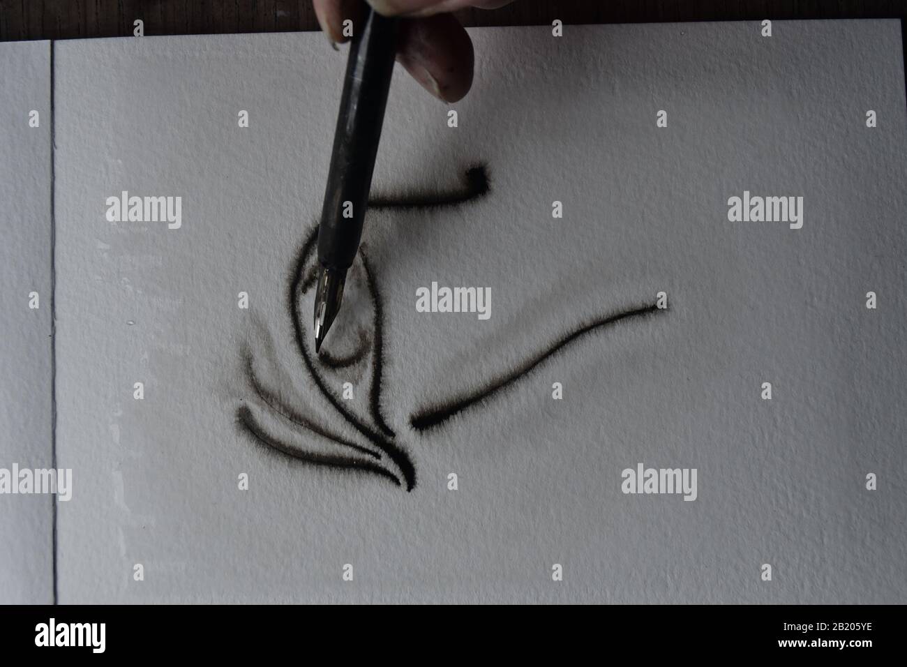 Séquence de dessin avec stylo immergé dans l'encre de l'Inde sur du papier d'aquarelle humide avec propagation de l'encre. Banque D'Images