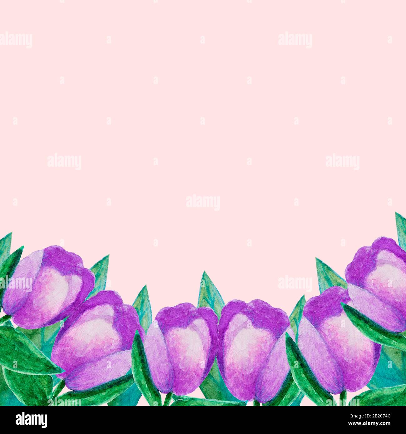 fleurs en hellebore dessinées à la main en aquarelle pour le printemps ou l'été pour les cartes d'invitation, de mariage ou de vœux Banque D'Images