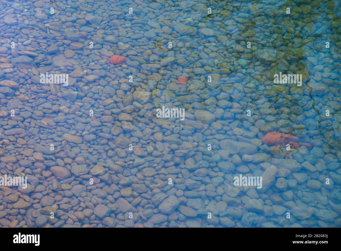 Pierres dans le fond de la rivière. Banque D'Images