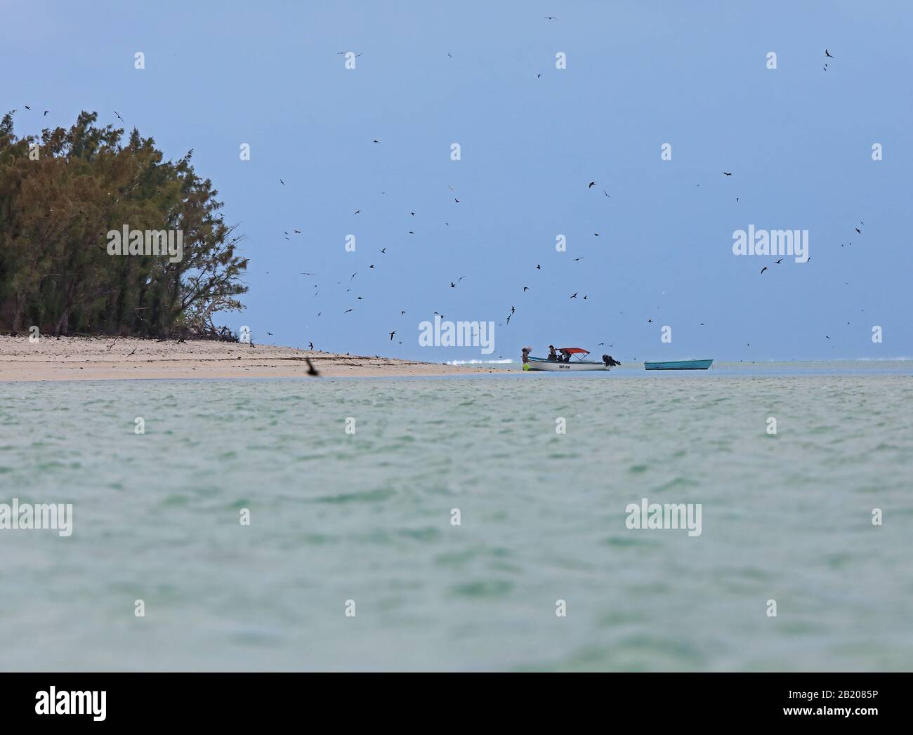 Bateaux touristiques sur la plage de l'île avec des oiseaux de mer qui volent sur l'île aux Cocos île Rodrigues, Ile Maurice décembre Banque D'Images