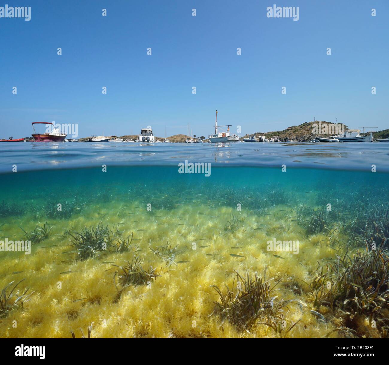 Espagne Méditerranée, bateaux amarrés dans la baie de Port Lligat et petits poissons avec algues et de la mer sous l'eau, vue partagée sur et sous la surface de l'eau Banque D'Images