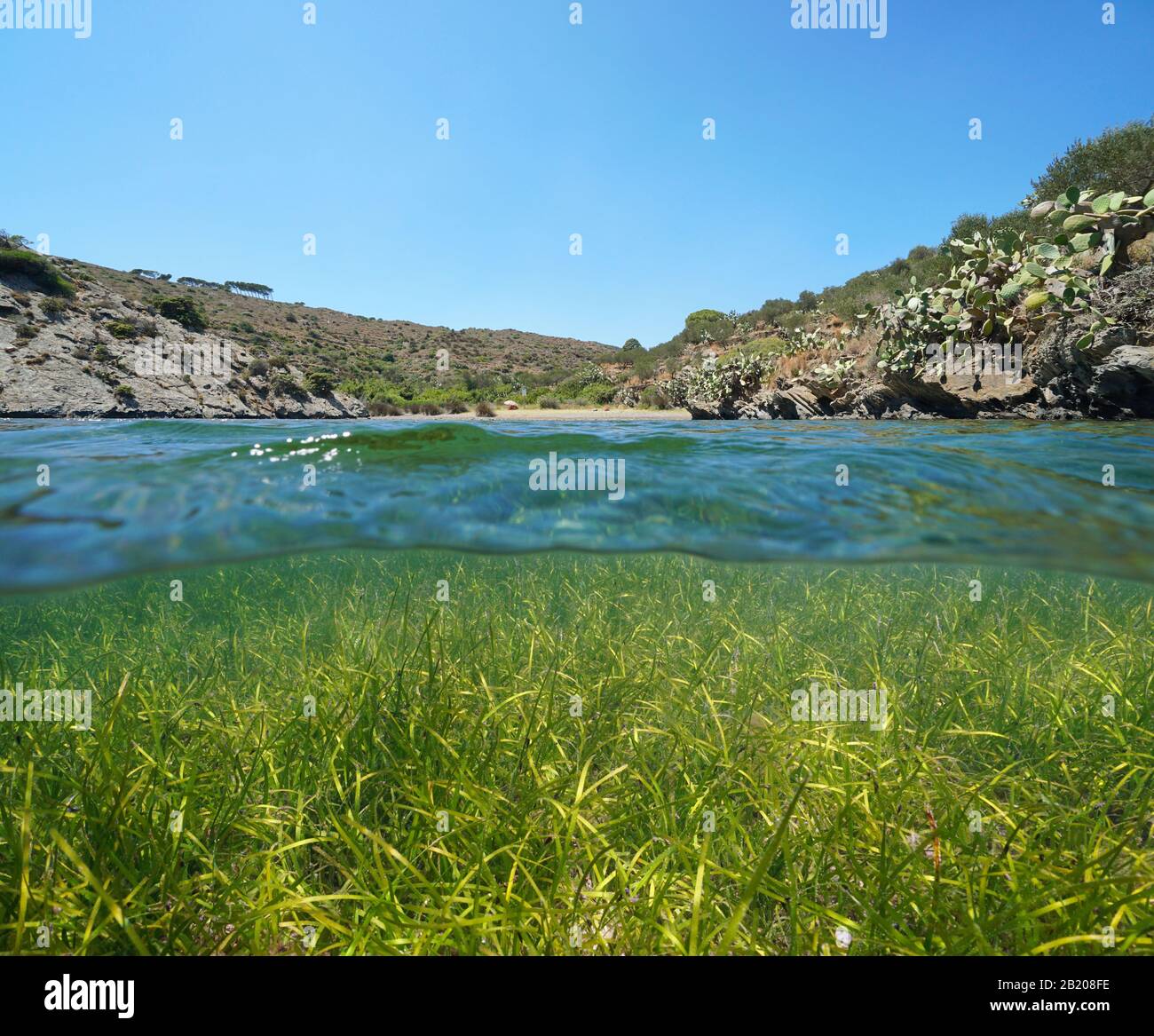 Paisible crique méditerranéenne avec de l'herbe sous l'eau, vue partagée sur et sous la surface de l'eau, Espagne, Costa Brava, Cap de Creus, Cadaques Banque D'Images