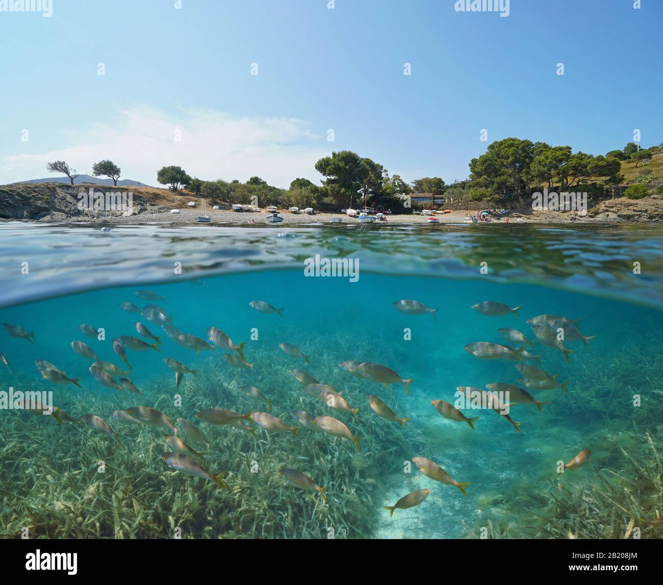 Espagne Méditerranée mer, école de poissons sous-marins et littoral de plage, vue partagée sous la surface de l'eau, Costa Brava, Port Lligat, Catalogne Banque D'Images