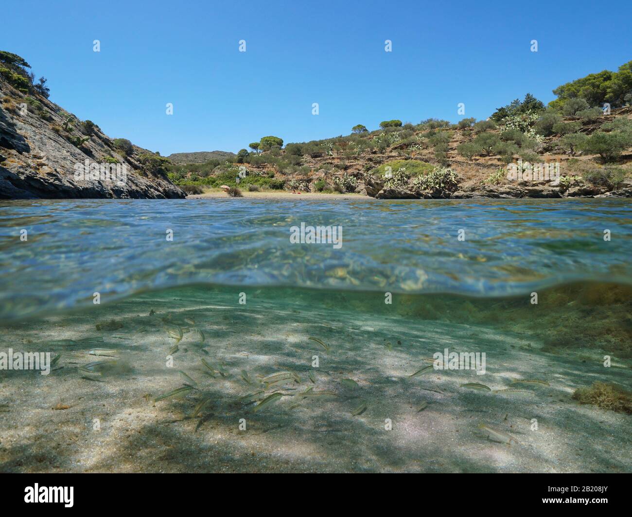 Paisible crique méditerranéenne avec poissons de surf et sable sous l'eau, vue partagée sous la surface de l'eau, Espagne, Costa Brava, Cap de Creus, Catalogne Banque D'Images