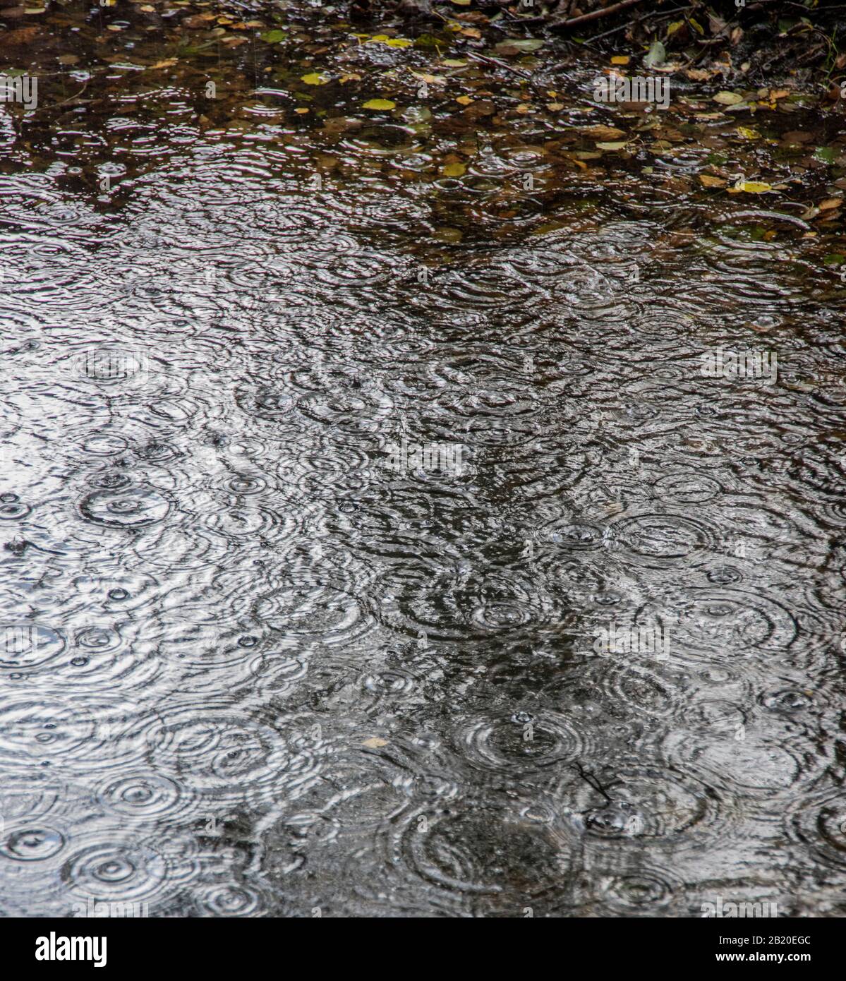 Les gouttes de pluie sur l'eau Banque D'Images