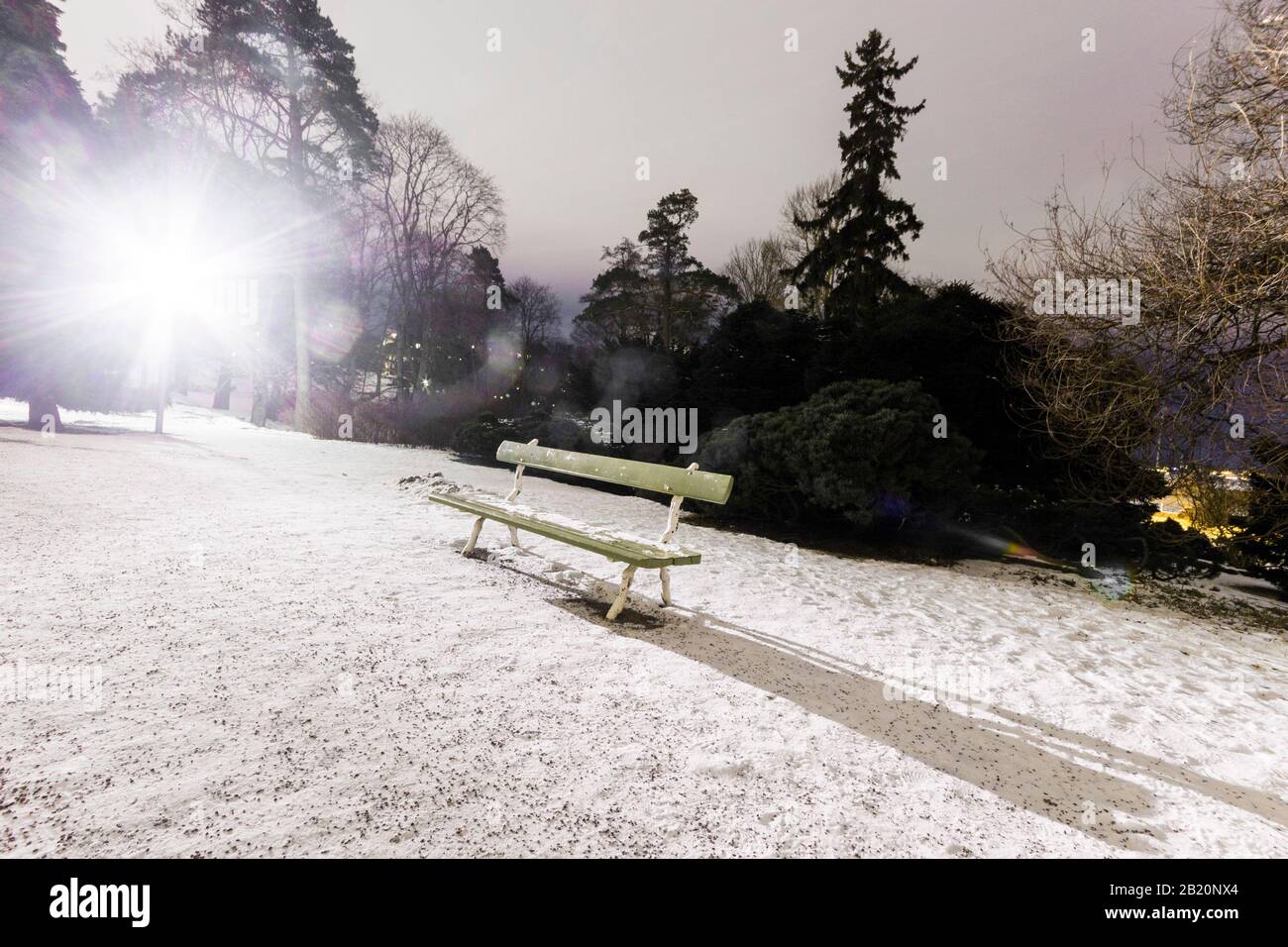 Helsinki, Finlande. Le parc Sibelius (Sibeliuksen puisto) en hiver froid, couvert de glace et de neige Banque D'Images