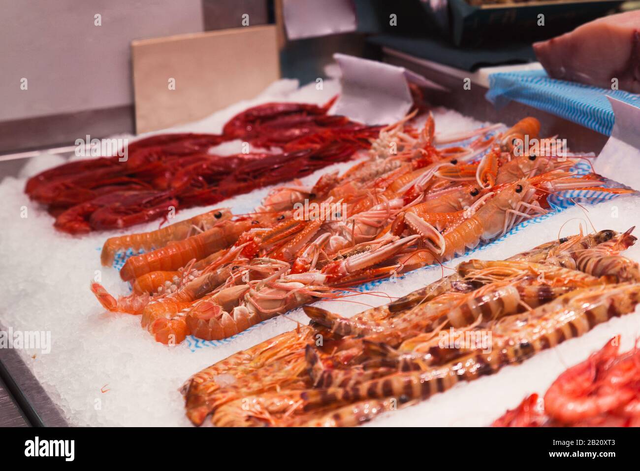 Photo d'un marché plein de produits marins comme des crustacés Banque D'Images