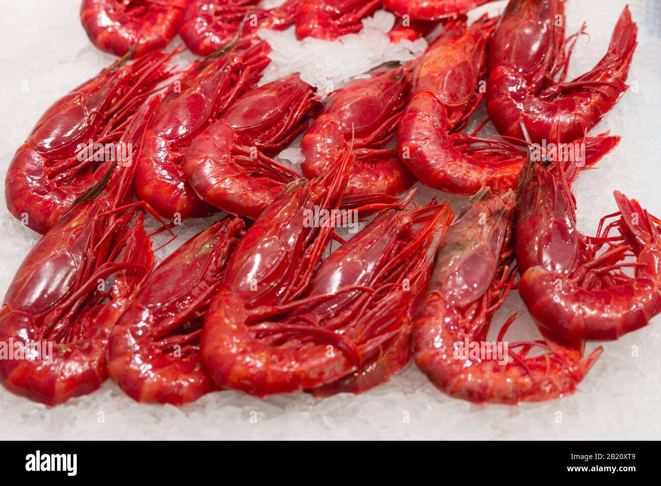 Photo de stock d'un gros tas de crevettes rouges sur une base de glace dans un marché de décrochage Banque D'Images