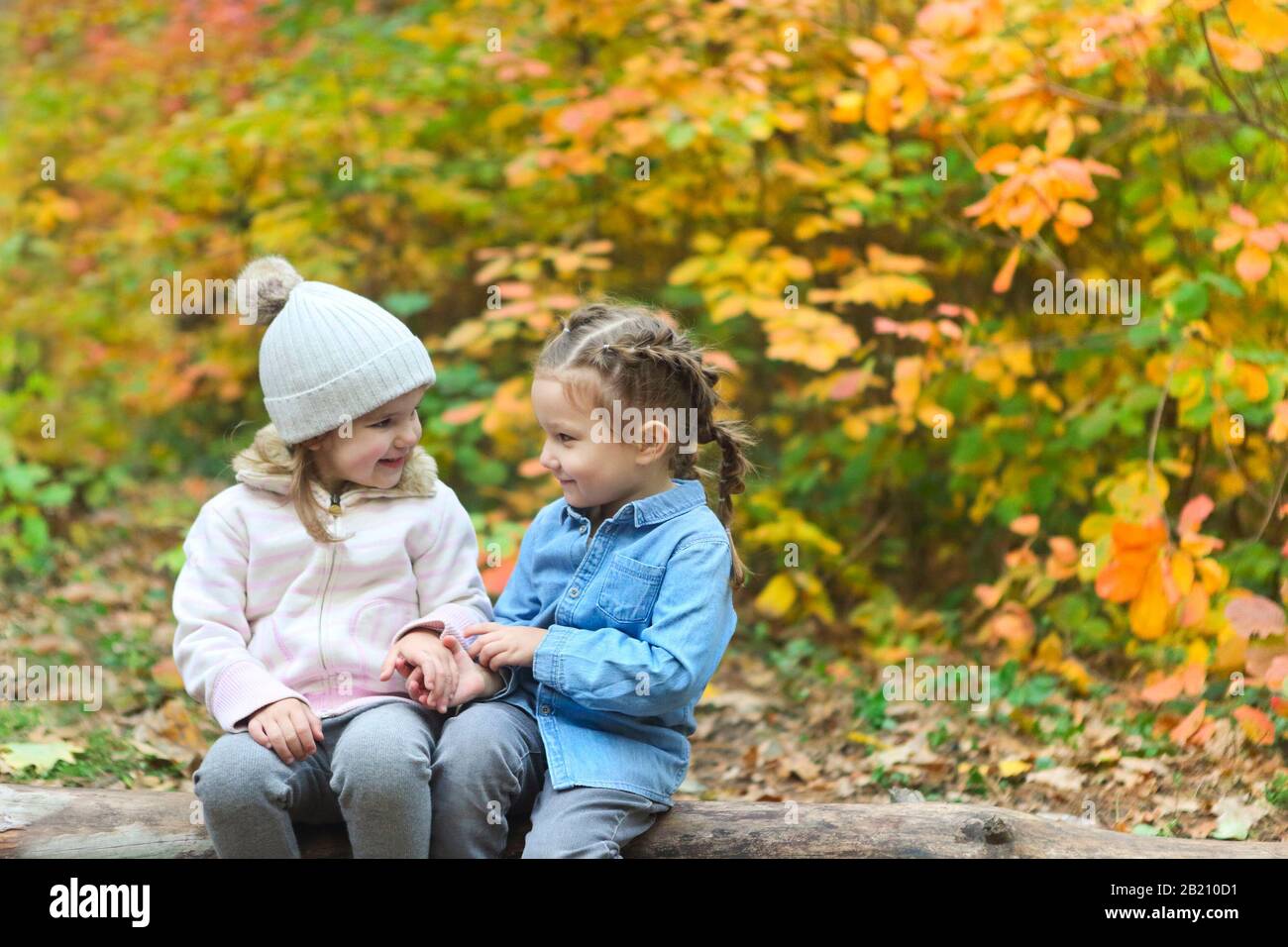 Les petites filles drôles en guerre portent assis sur le sourire de bois et se regardant l'un l'autre avec le feuillage coloré des plantes Banque D'Images