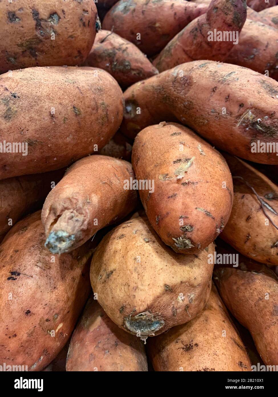 Patates douces entières brutes, légumes frais de racine saine, Panama, Amérique centrale Banque D'Images
