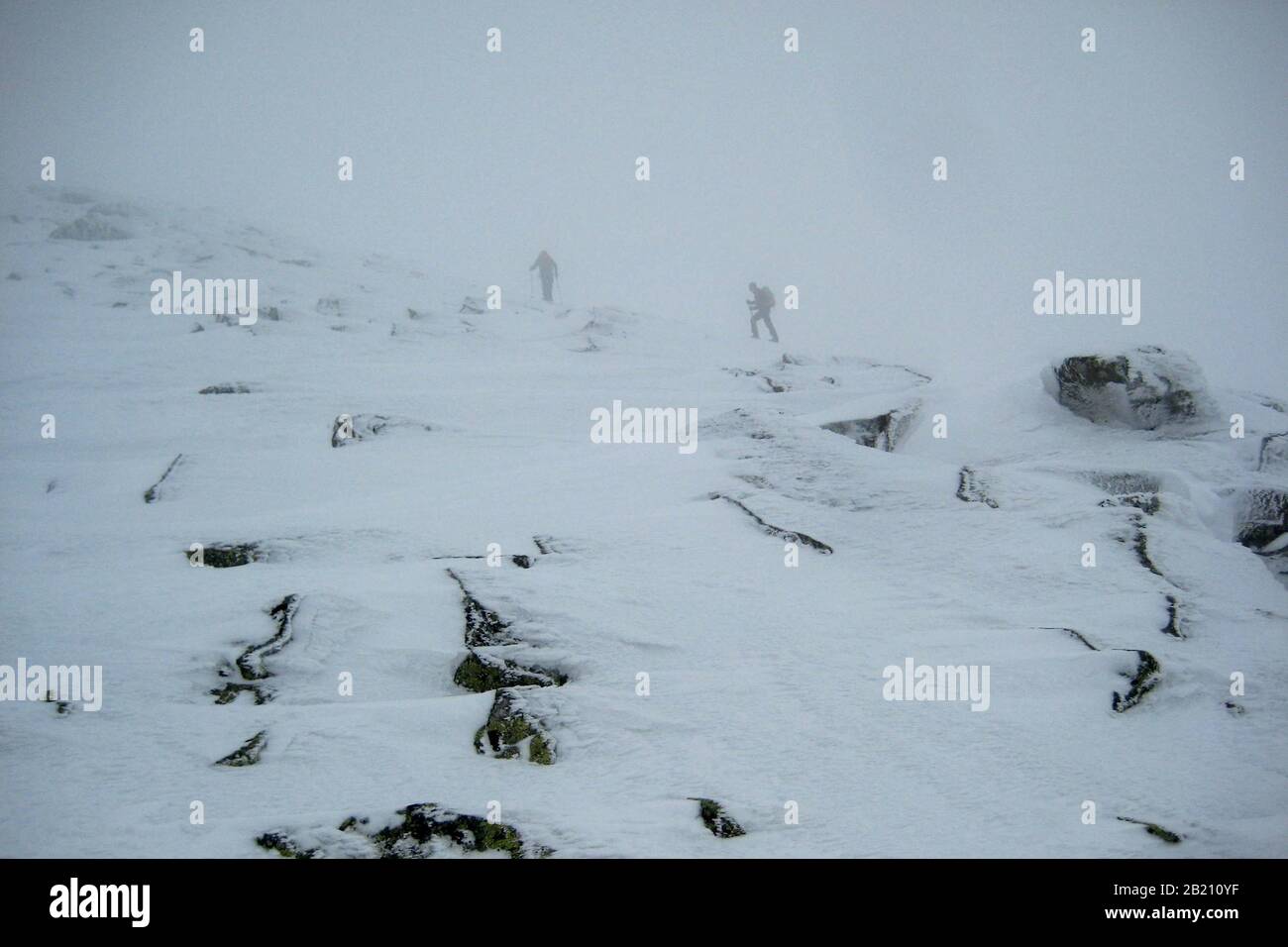 Circuit En Raquettes À Schneetreiben, Lusen, Forêt Bavaroise, Basse-Bavière, Bavière, Allemagne Banque D'Images