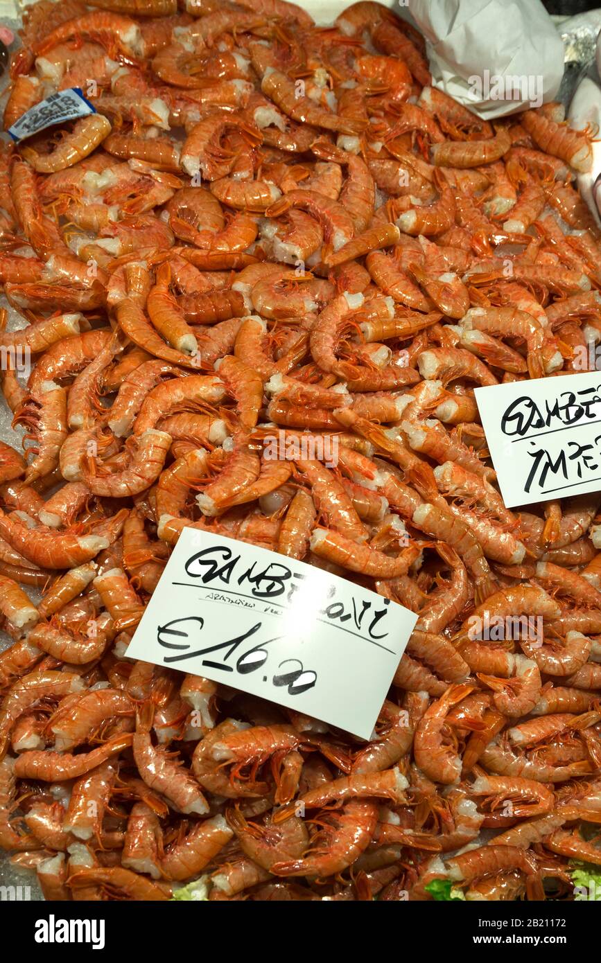 Langoustes d'épineux frais (Palinuridae) sur glace, marché aux poissons, Venise, Vénétie, Italie Banque D'Images