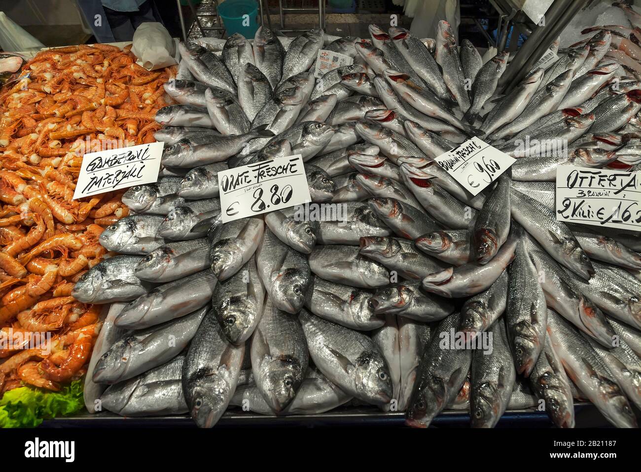 Bream commun frais (Abramis brama), langoustes d'épines gauches (Palinuridae) sur glace, marché aux poissons, Venise, Vénétie, Italie Banque D'Images