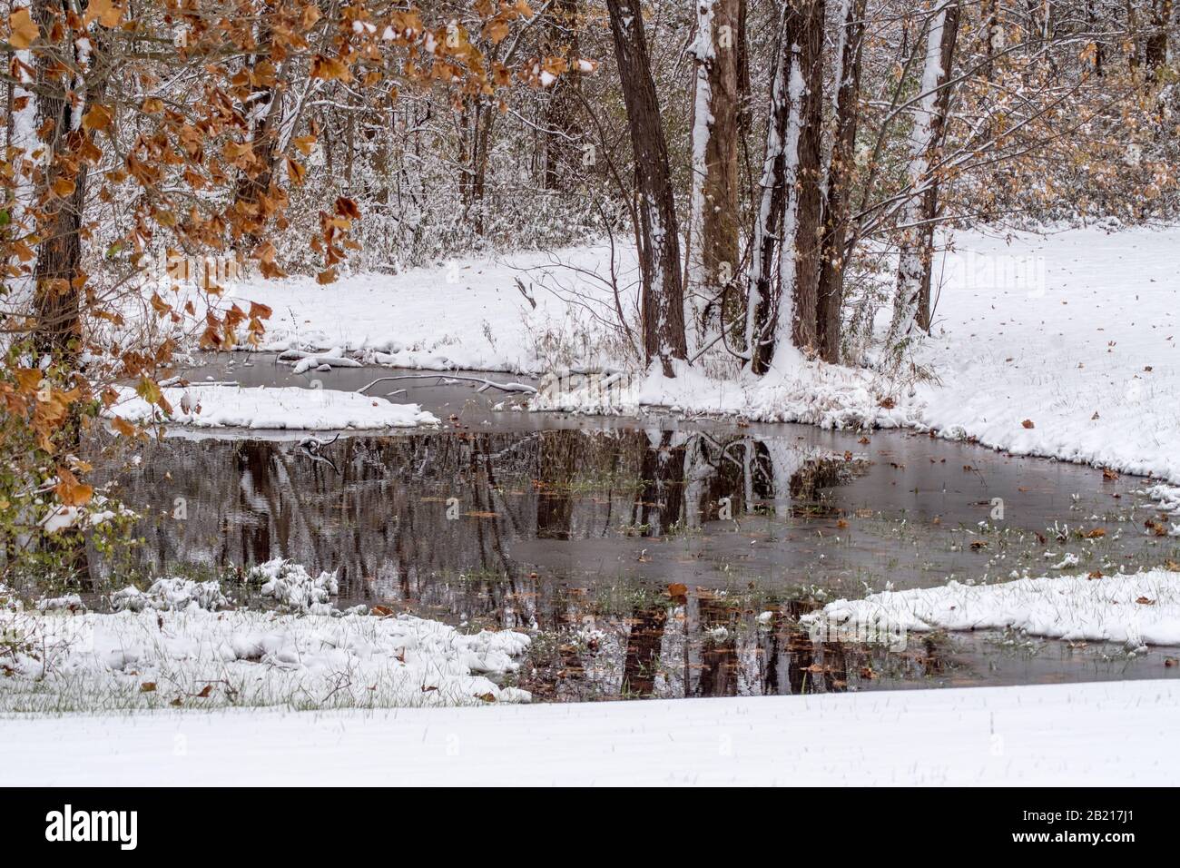 Les arbres jettent une jolie réflexion sur un étang gelé, après une chute de neige au Michigan USA Banque D'Images