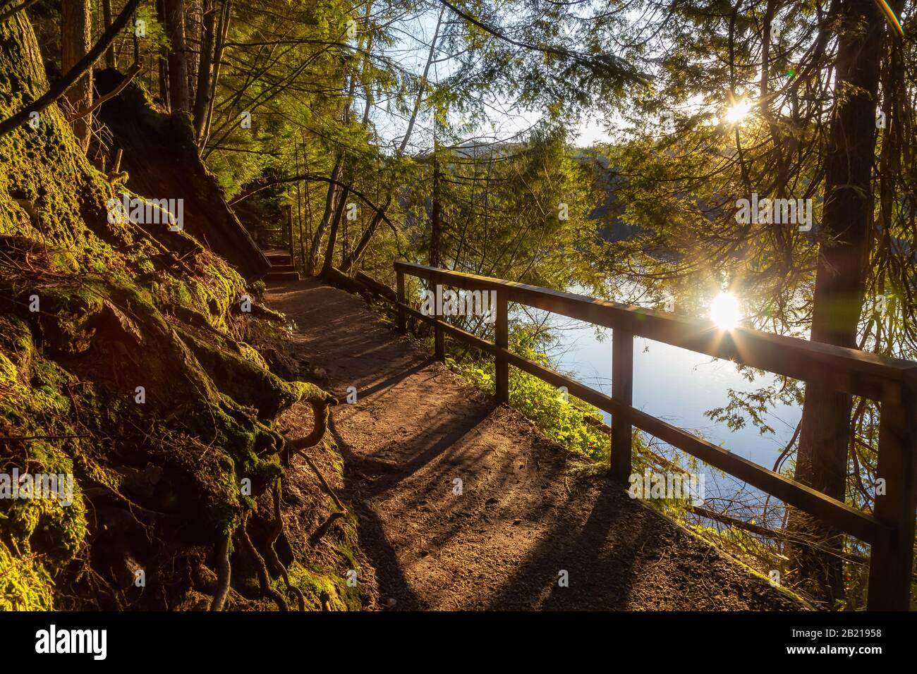 Magnifique et Dynamique Trail dans les bois verts avec des arbres frais près d'un lac pendant le coucher du soleil. Prise À White Pine Beach, Port Moody, Vancouver, Colombie-Britannique Banque D'Images