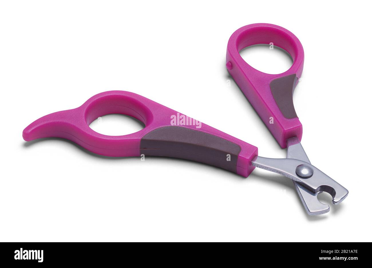 Clippers Pour Ongles De Chien Isolés Sur Fond Blanc. Banque D'Images