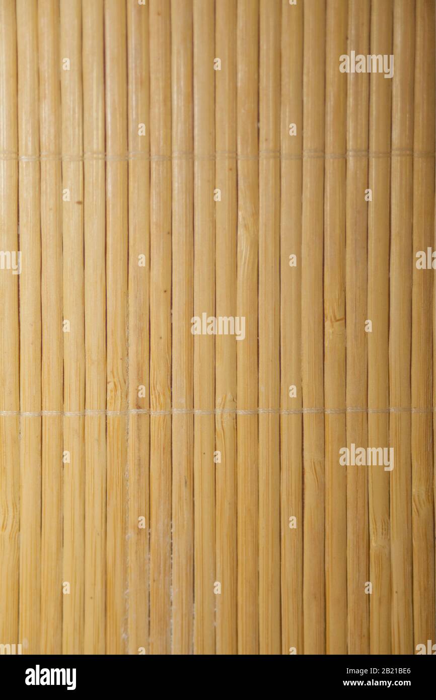 motif d'arrière-plan de texture de bambou. lignes verticales de bambou Banque D'Images