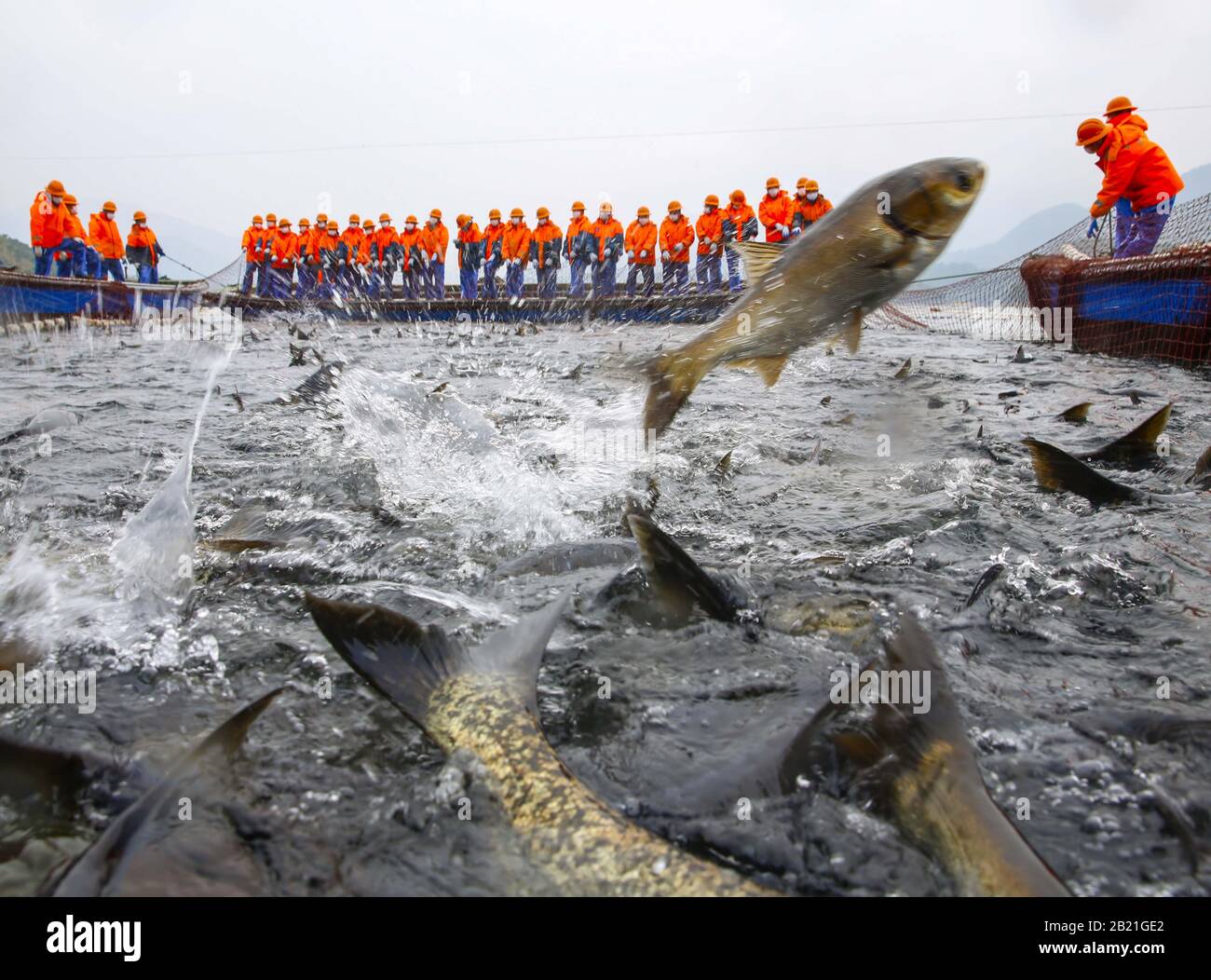 40 poissonnistes ont attrape 50 milliers de poissons catty et ont fait don de l'argent pour aider les travailleurs médicaux à lutter contre la pneumonie du coronavirus à Hangzhou, Zhejiang, Chine le 27 février 2020.(photo de TPG/cnsphotos) (photo de Top photo/Sipa USA) Banque D'Images