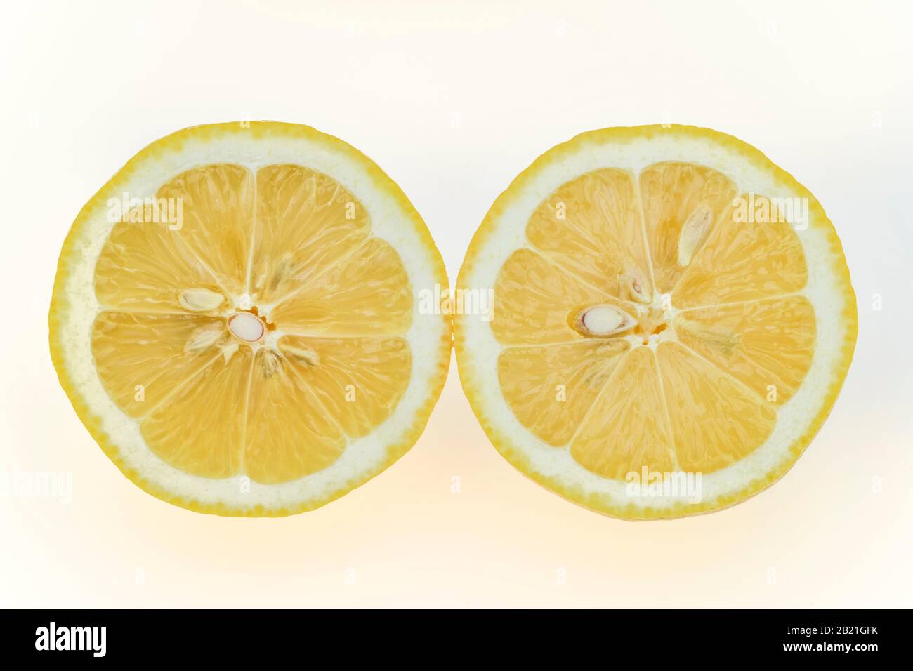 Zitronen, Studioaufnahme Banque D'Images