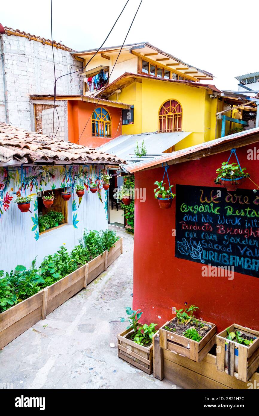 Restaurant biologique jardin Organico, Cusco, Vallée Sacrée, Pérou Banque D'Images