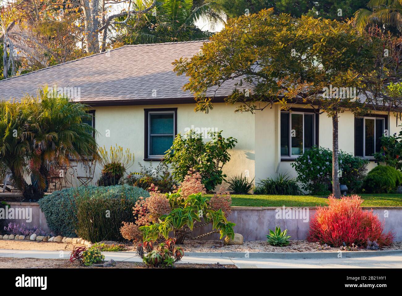 Magnifique maison de Californie avec un jardin paysager personnalisé et un jardin avec une variété de plantation. Extrait d'un espace public en février 2020. Banque D'Images