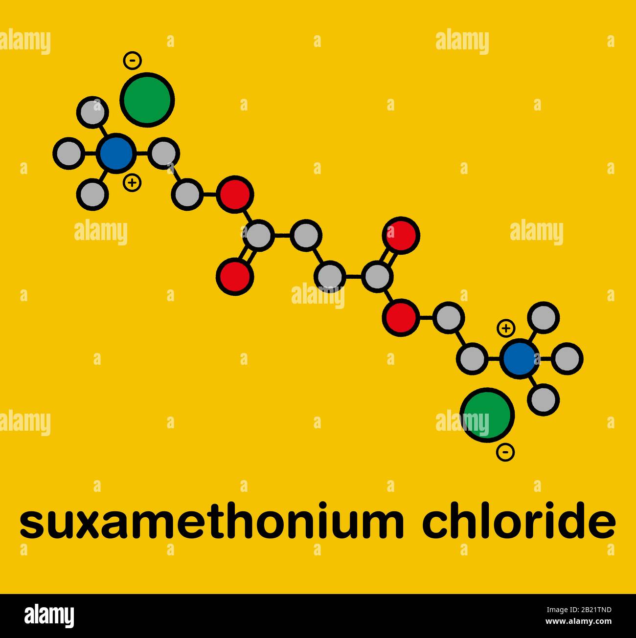 Médicament relaxant musculaire de chlorure de Suxaméthonium, illustration Banque D'Images