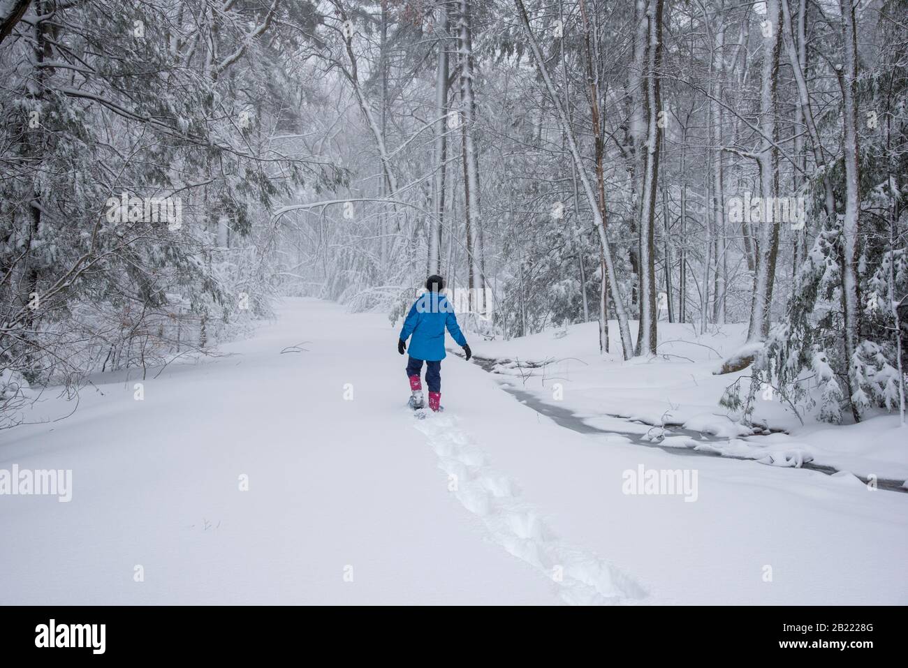Une adolescente sur des raquettes marche seule dans la neige profonde sur une route enneigée. Banque D'Images