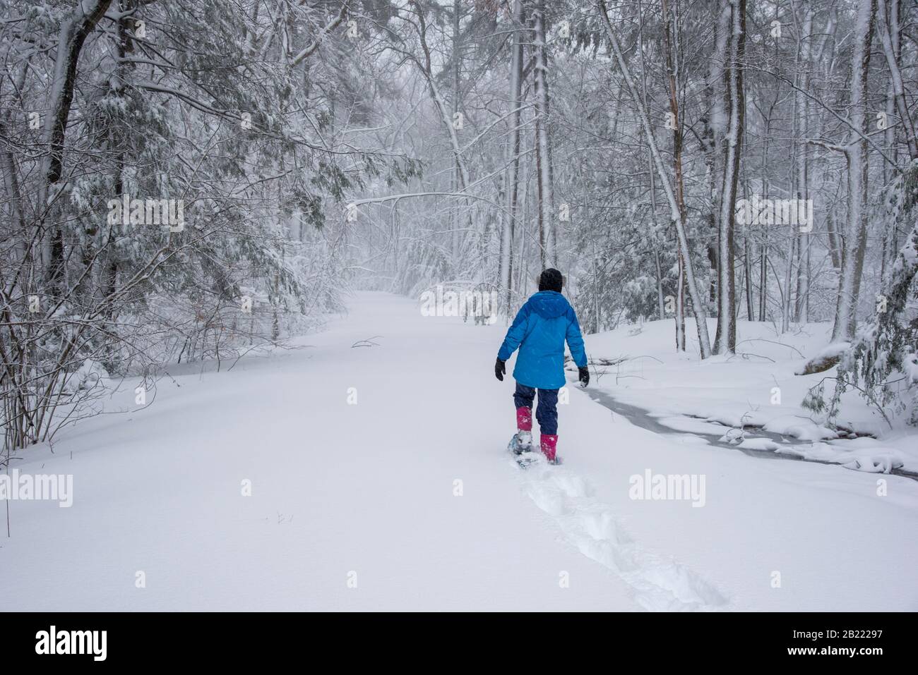 Une adolescente sur des raquettes marche seule dans la neige profonde sur une route enneigée. Banque D'Images