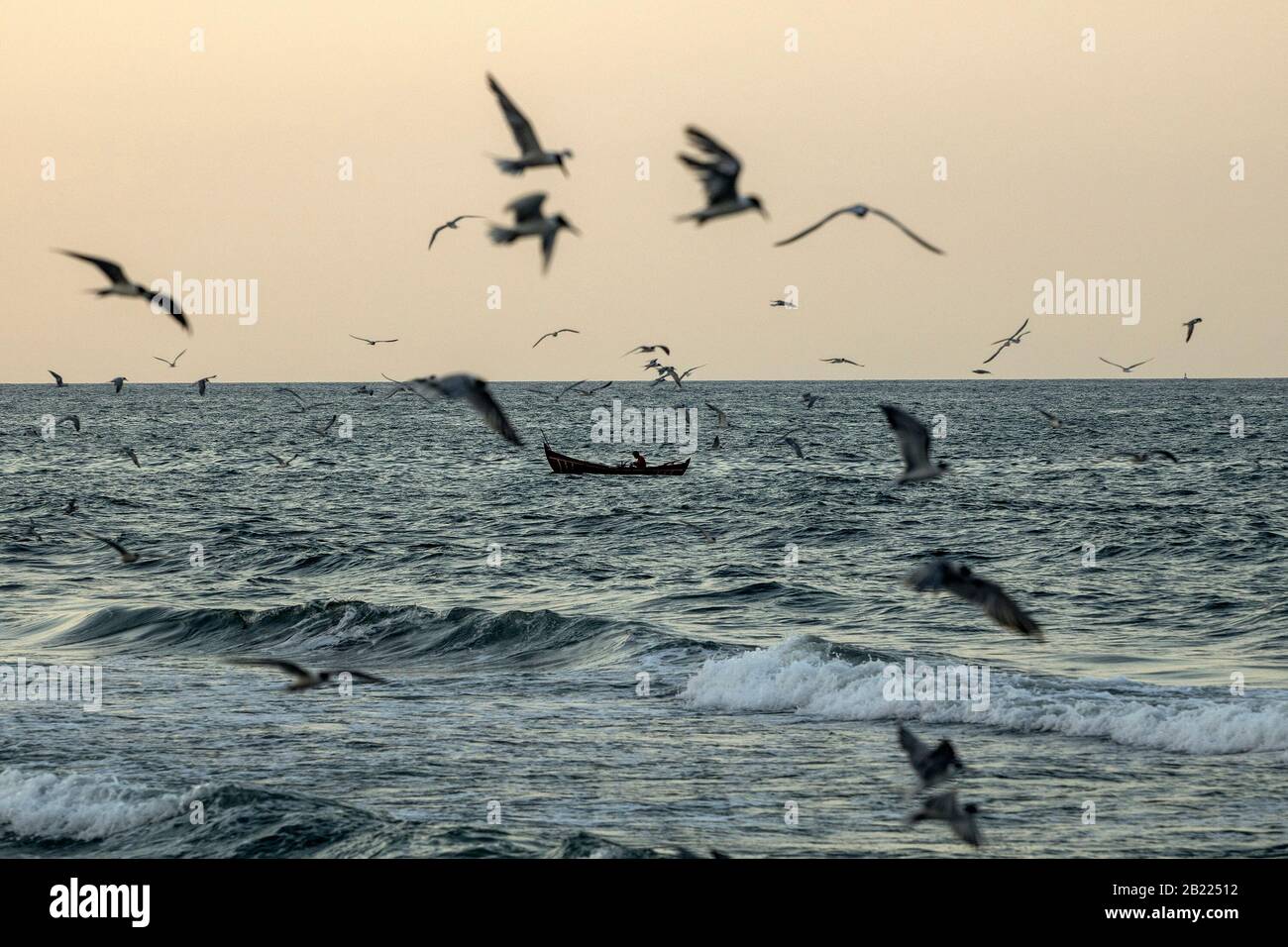 Vue sur un bateau de pêche entouré de mouettes à la plage d'Ujong Blang, Lhokseumawe, province d'Aceh. La présence de mouettes est un signe du nombre actuel de poissons dans la mer. Banque D'Images