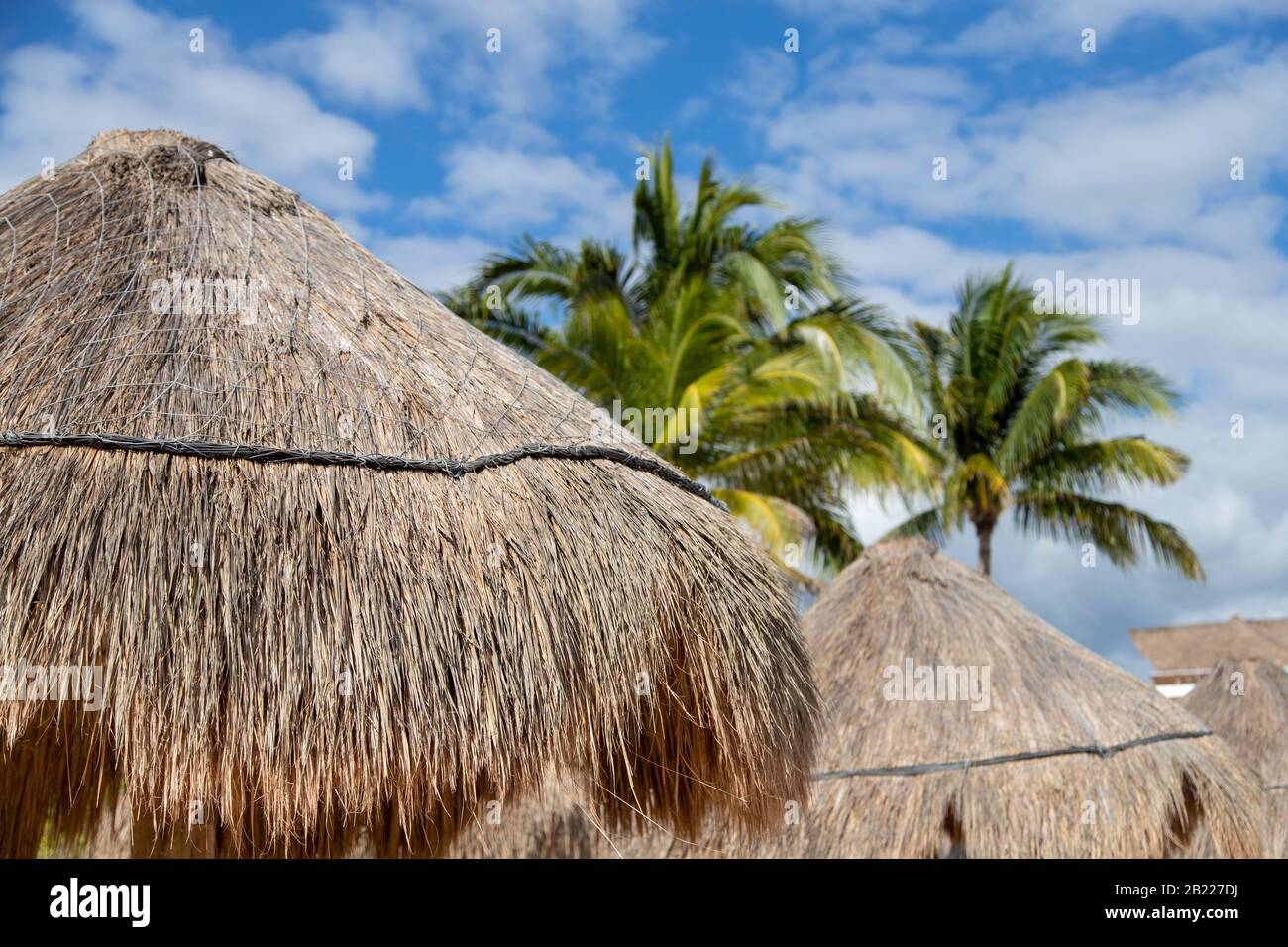 Gros plan sur la plage de paille de palmier de noix de coco avec ciel bleu avec espace de copie sur la plage Riviera Maya Cancun sur la côte des Caraïbes du Mexique. Banque D'Images