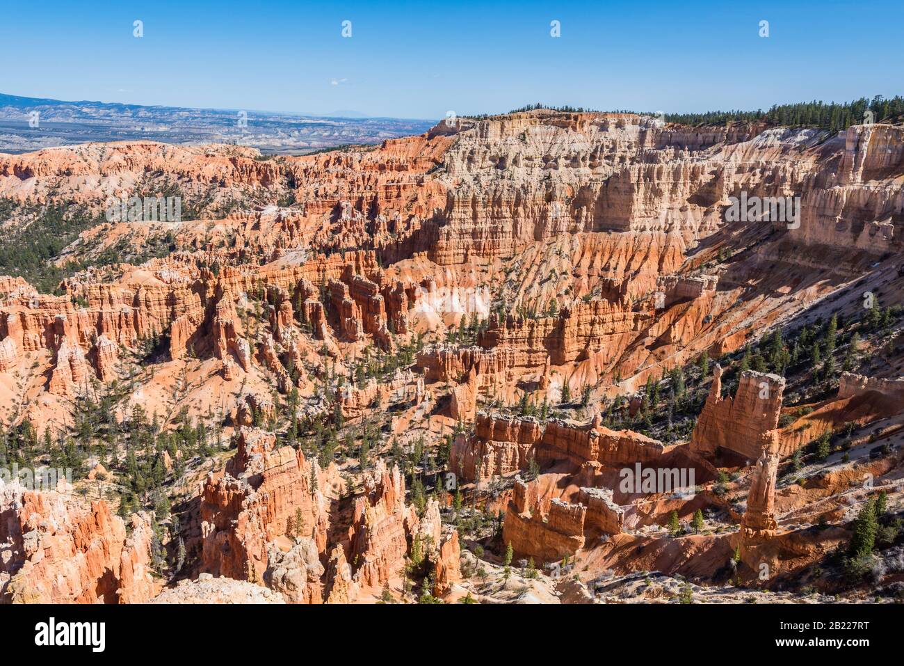 Vue magnifique sur les hoodoos de couleur cramoisi au parc national de Bryce Canyon, Utah, États-Unis. Banque D'Images