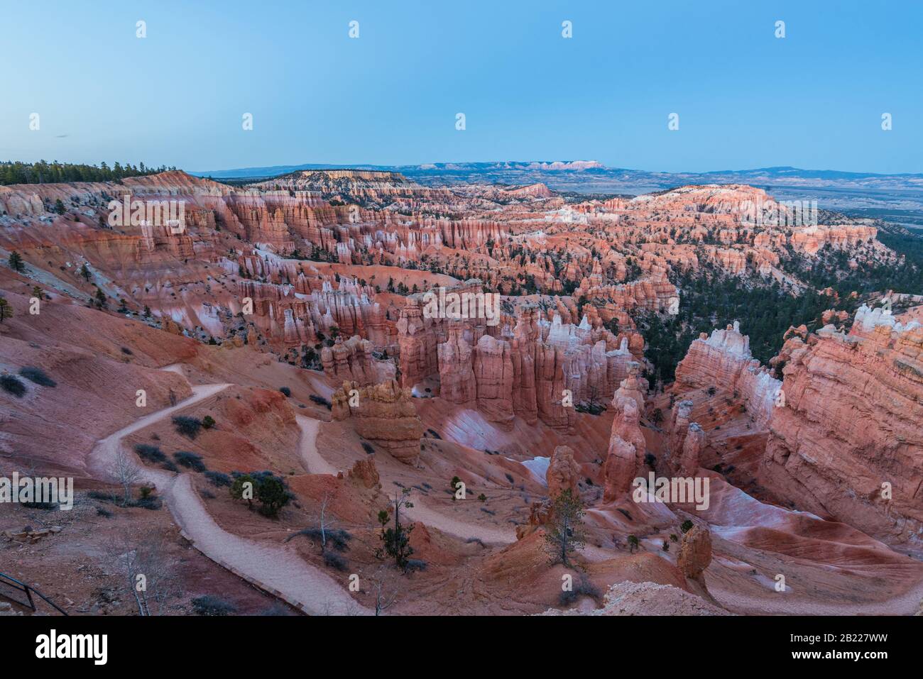 Vue magnifique sur les hoodoos de couleur cramoisi au parc national de Bryce Canyon, Utah, États-Unis. Banque D'Images