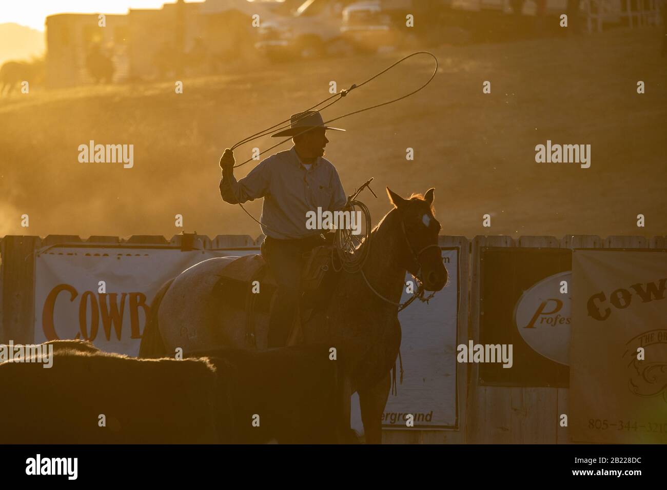 Cowboys En Boucle Banque D'Images