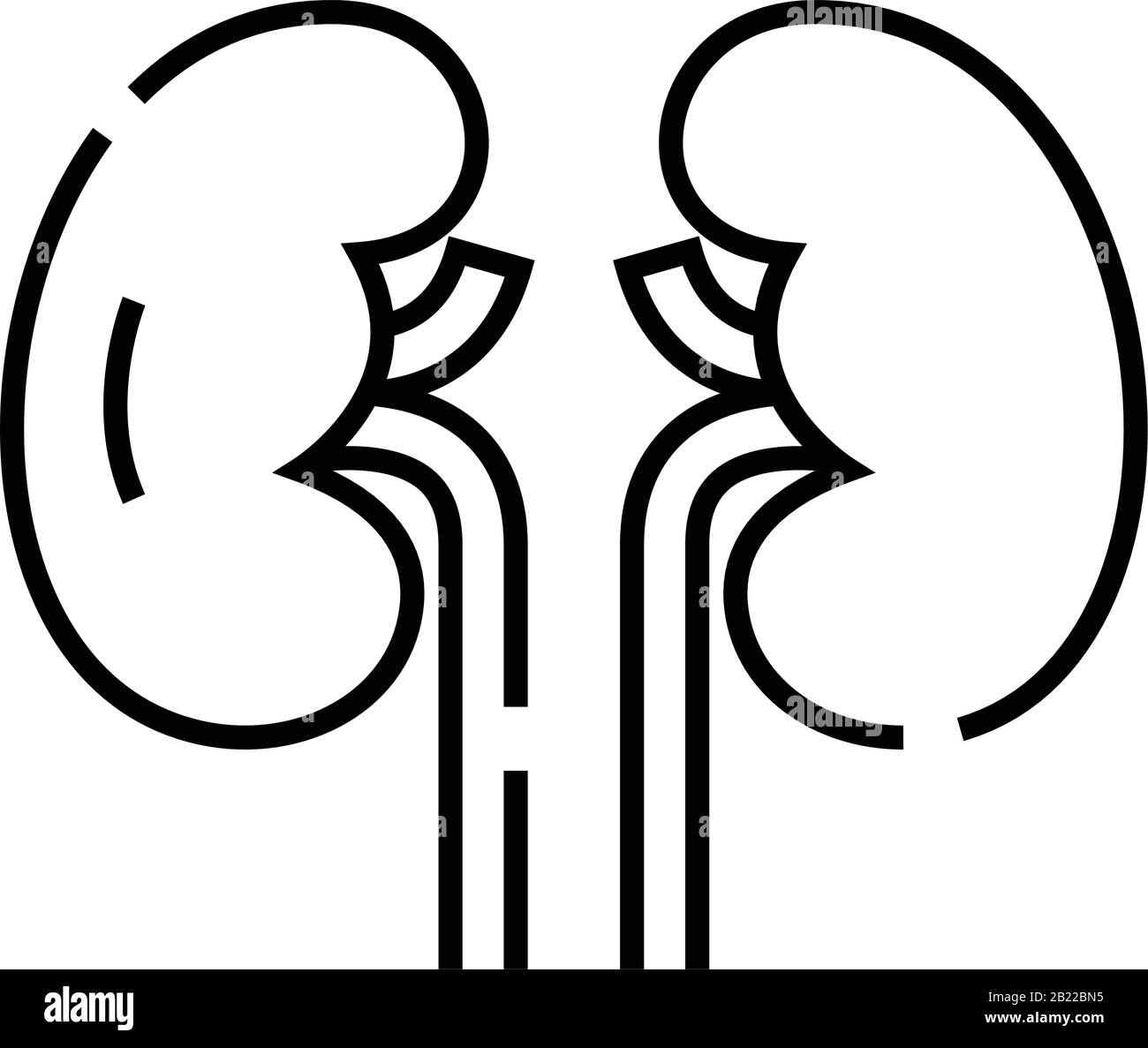 Icône de ligne des organes internes du rein, signe conceptuel, illustration vectorielle du contour, symbole linéaire. Illustration de Vecteur