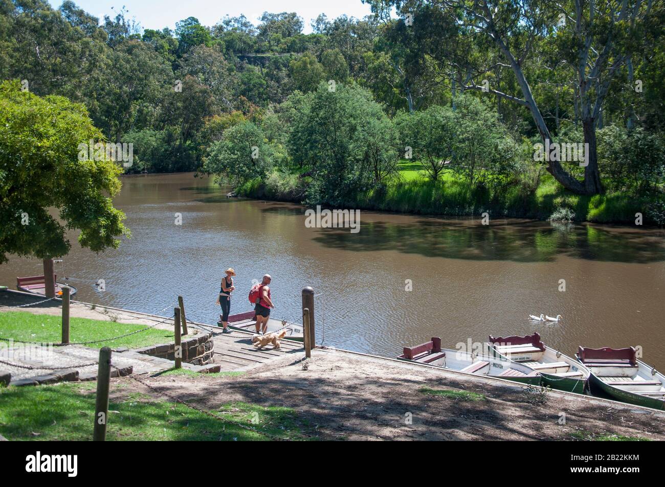 Les visiteurs du week-end à Studley Park Boathouse sur la Yarra River, Melbourne, Australie Banque D'Images
