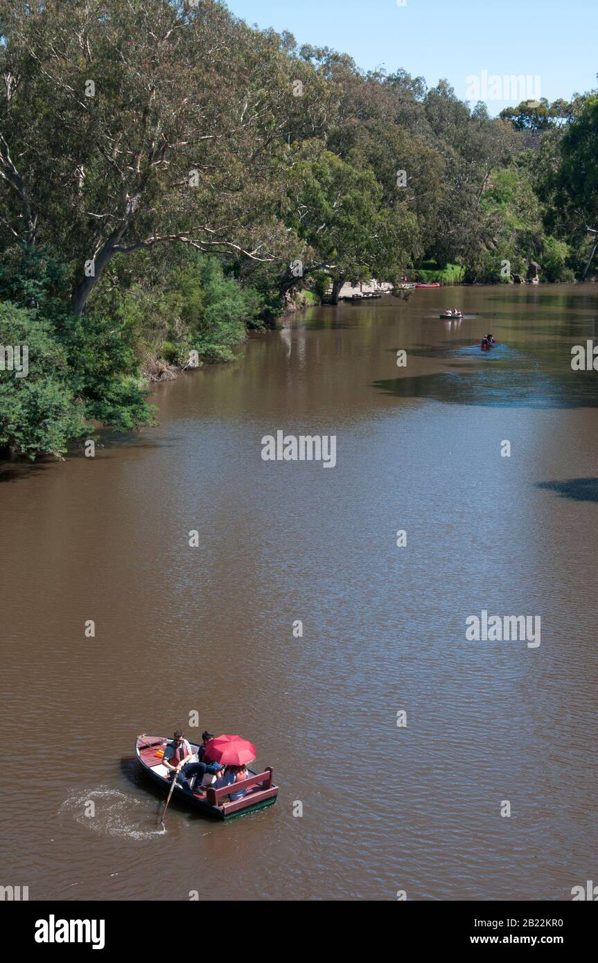 Canotage sur la Yarra River à Studley Park, Melbourne, Australie Banque D'Images