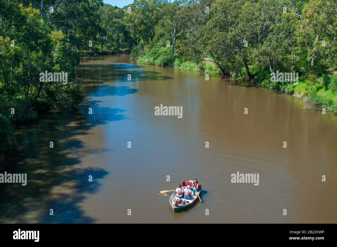 Canotage sur la Yarra River à Studley Park, Melbourne, Australie Banque D'Images