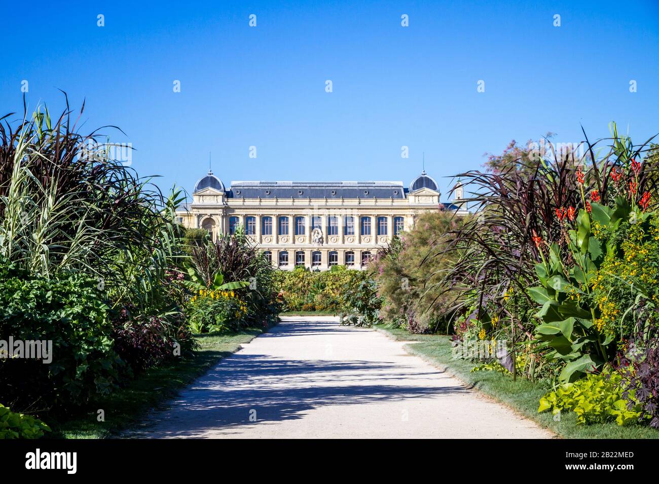 Jardin des plantes Jardin botanique et musée, Paris, France Banque D'Images