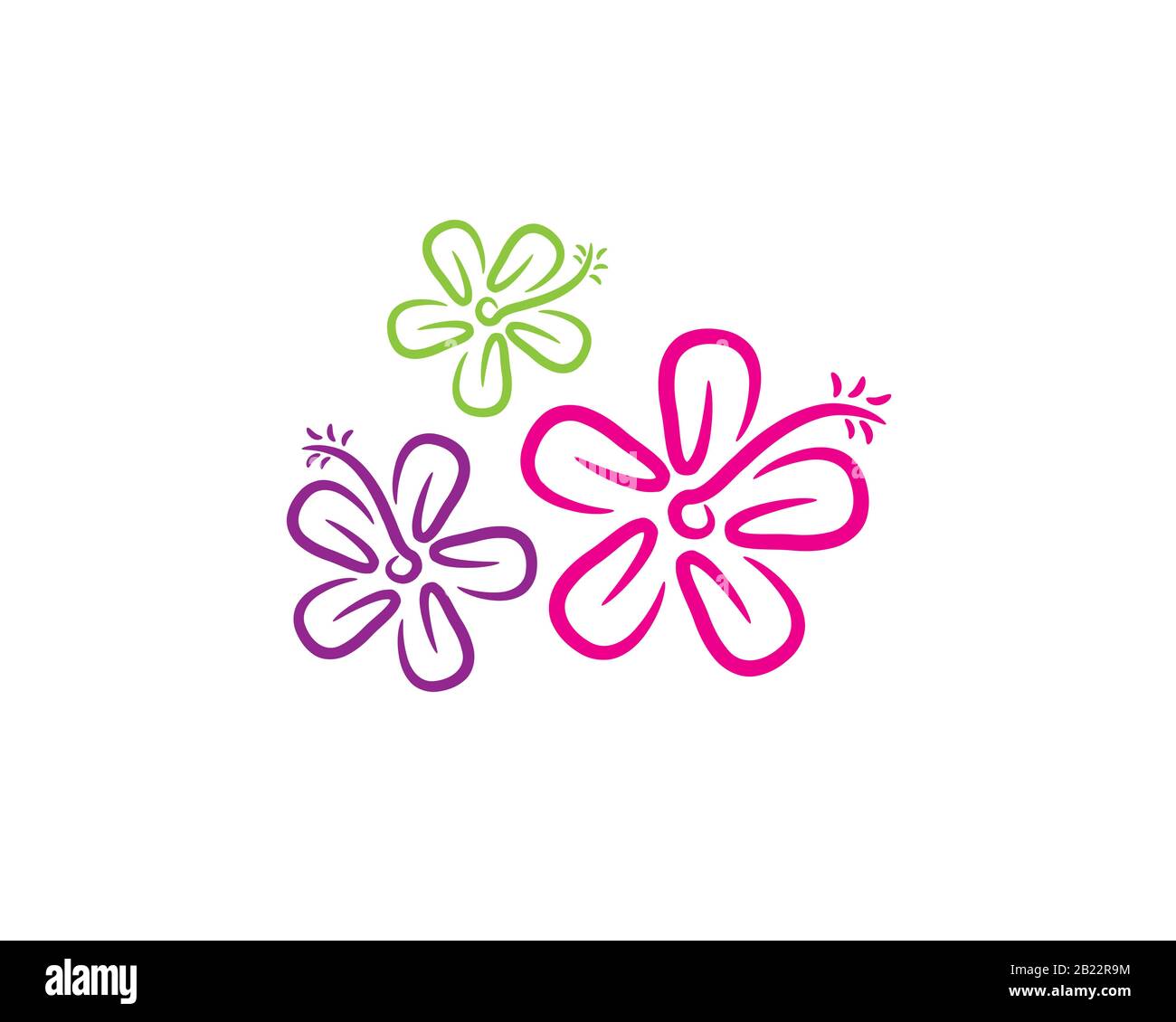 fleur colorée vert rose violet avec pétales stigmate filament et pollen Illustration de Vecteur