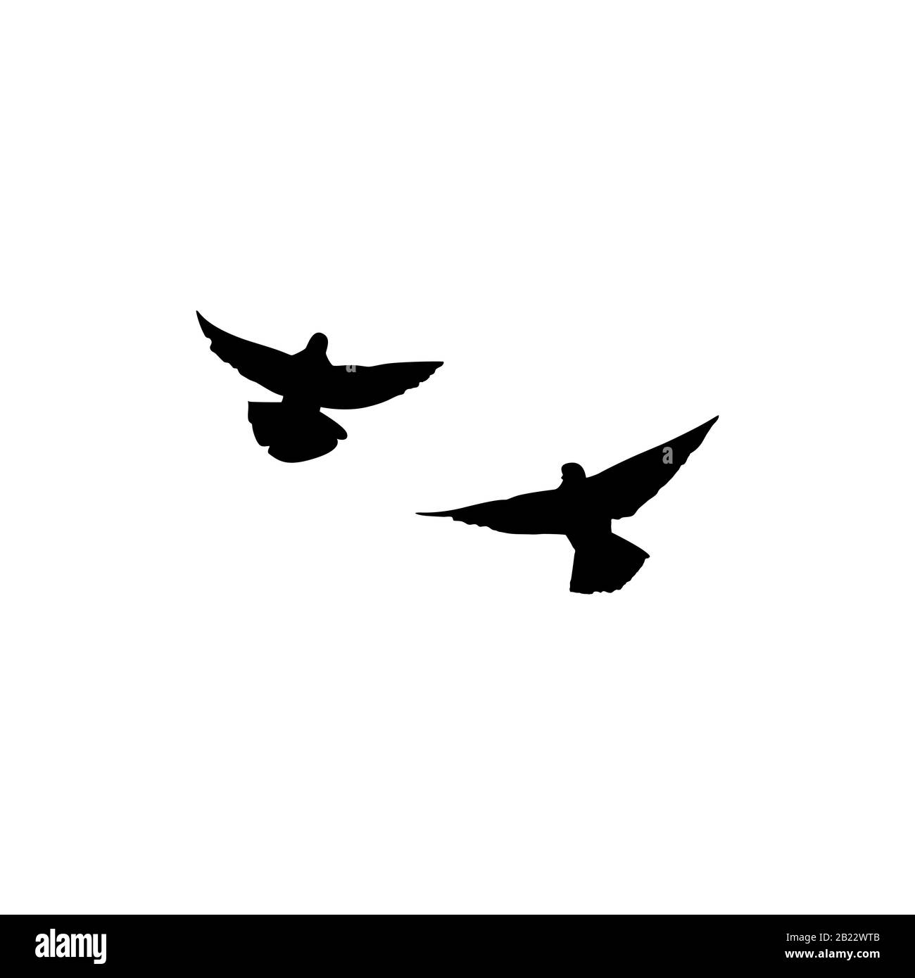 Deux colombes symbole de liberté et d'espoir. La silhouette des pigeons s'envolent sur un fond blanc. Illustration vectorielle Illustration de Vecteur