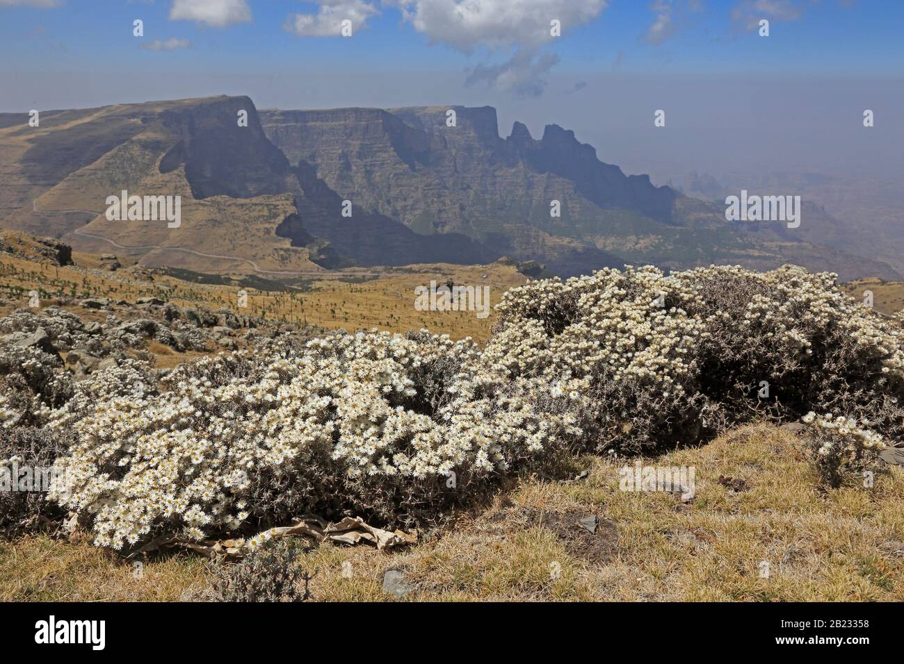 Vue sur les montagnes Simien Ethiopie Banque D'Images